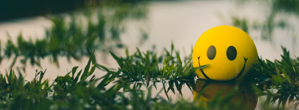 Een gele bal met een smiley erop, gedeeltelijk ondergedompeld in een plas water, omringd door gras.