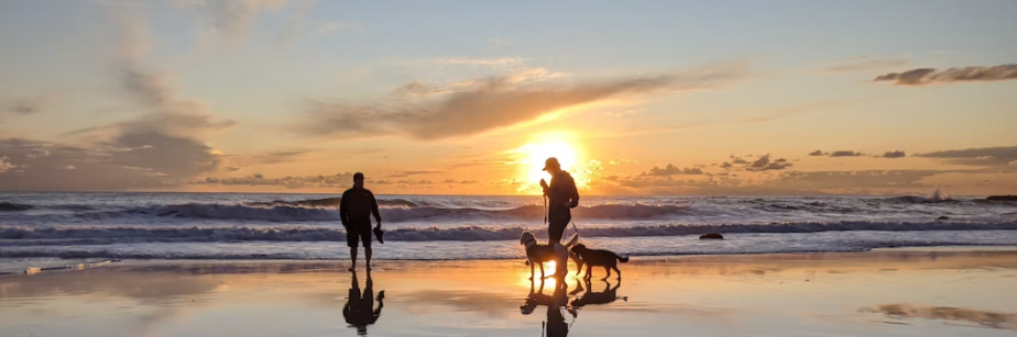 Twee mensen en twee honden lopen op een spiegelend strand tijdens zonsondergang, met golven op de achtergrond.
